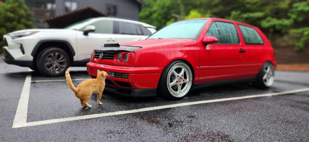 mk4 vr6 GTI OZ wheels orange cat